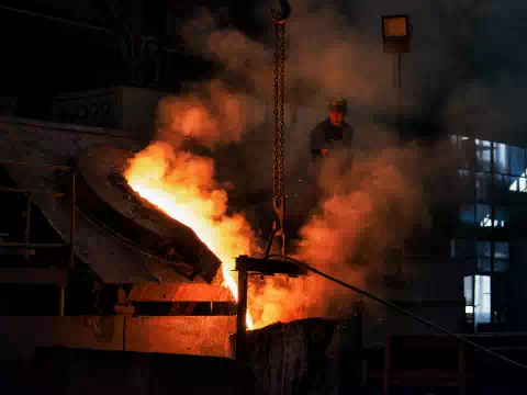 Crane training and learning